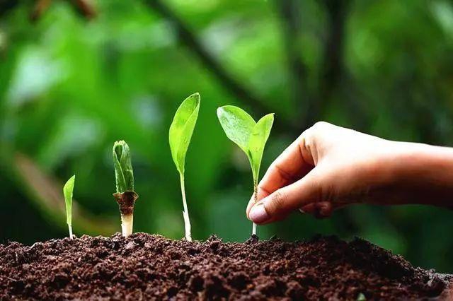 以智能传感器入局智慧农业，激活全产业链数据价值