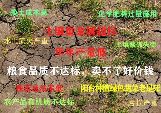 粮食产量低，阳台花死了怎么办？这个简单方法90%的人都不知道，粮食增产了10倍！
