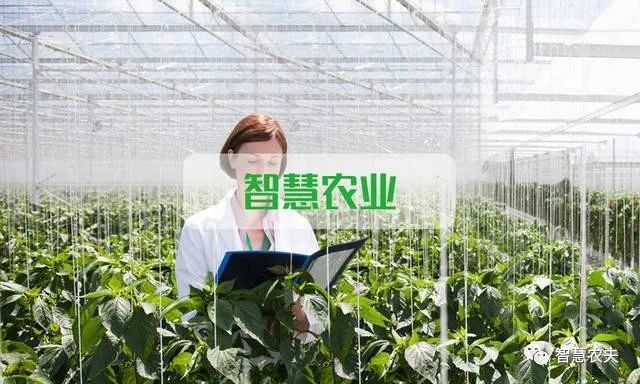 物联网在智慧农业的建设过程中，在以下3个方面带应用