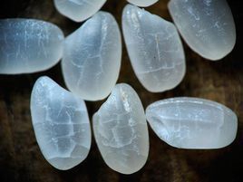 东北大米为什么好吃？